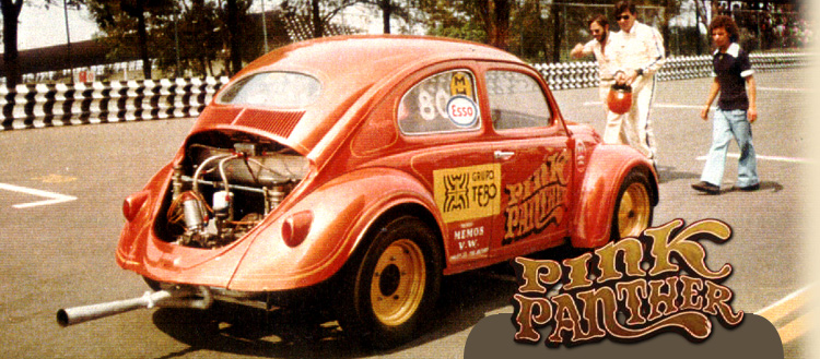 Pink Panther K/Gasser.jpg